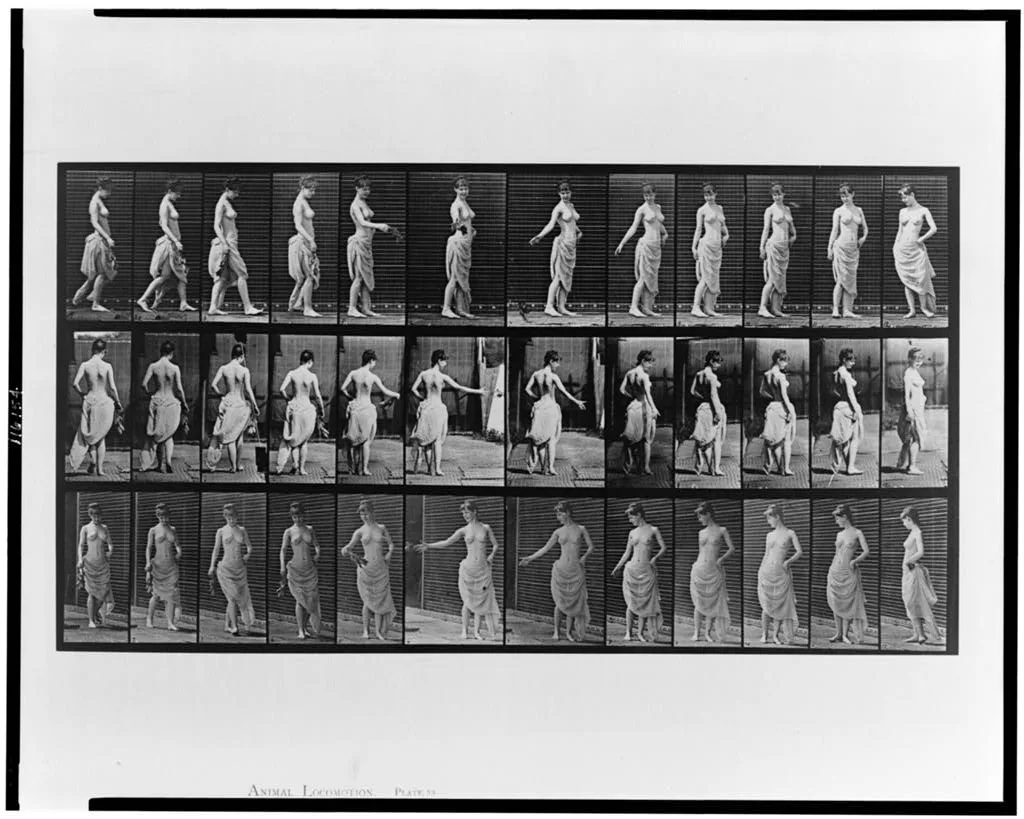 Animal locomotion, 1887