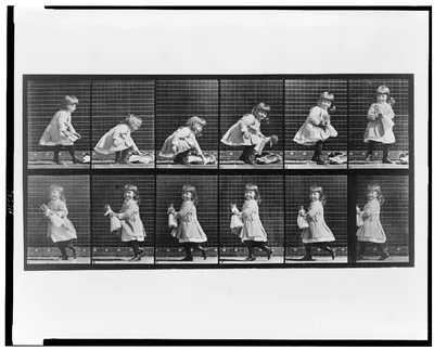 Animal locomotion, 1887