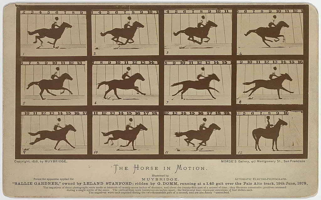 The Horse in motion. "Sallie Gardner," owned by Leland Stanford;…, Palo Alto, California, 1878