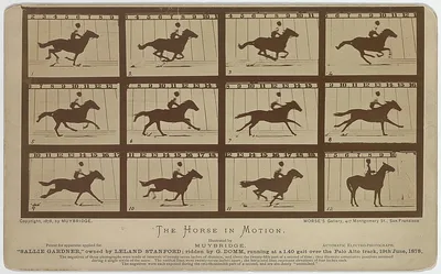 The Horse in motion. "Sallie Gardner," owned by Leland Stanford;…, Palo Alto, California, 1878