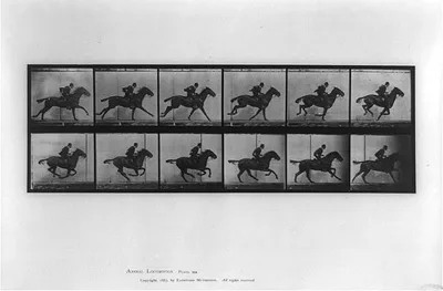Animal locomotion, 1887