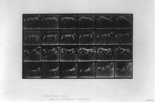 Animal locomotion, 1887