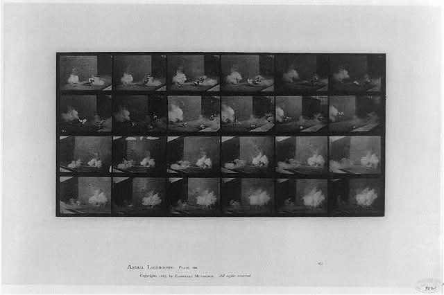 Animal locomotion, 1887