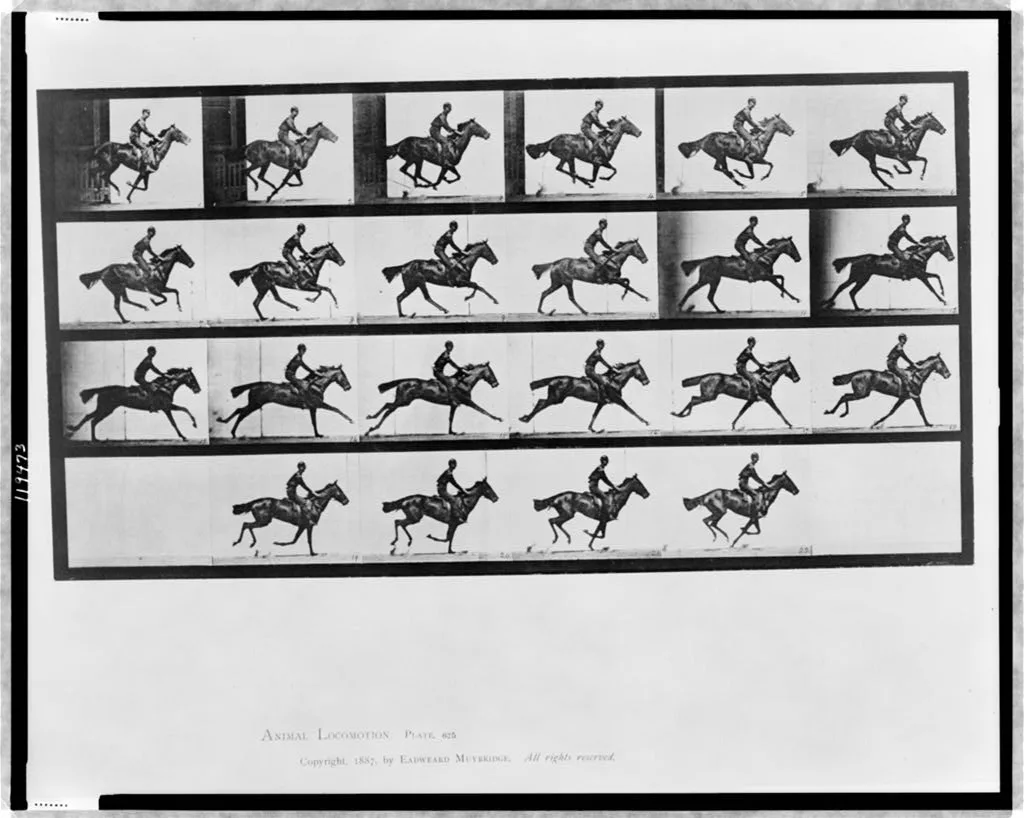 Animal locomotion, 1887