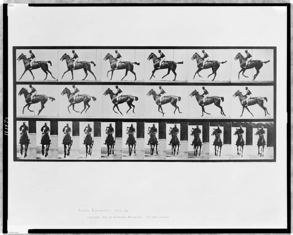 Animal locomotion, 1887