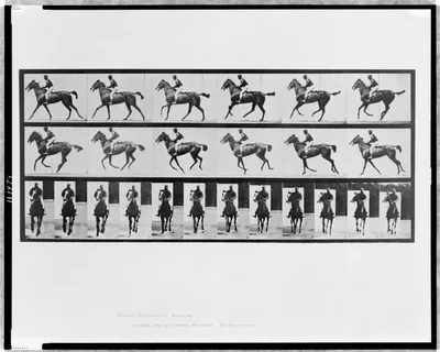 Animal locomotion, 1887