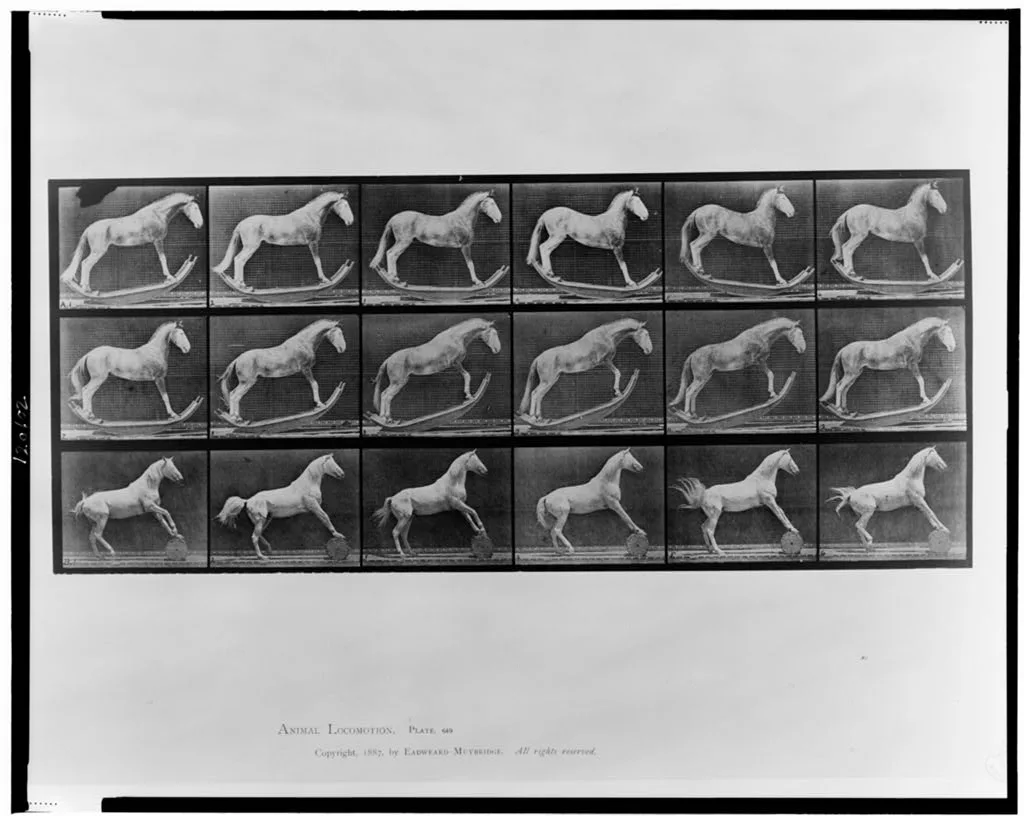 Animal locomotion, 1887