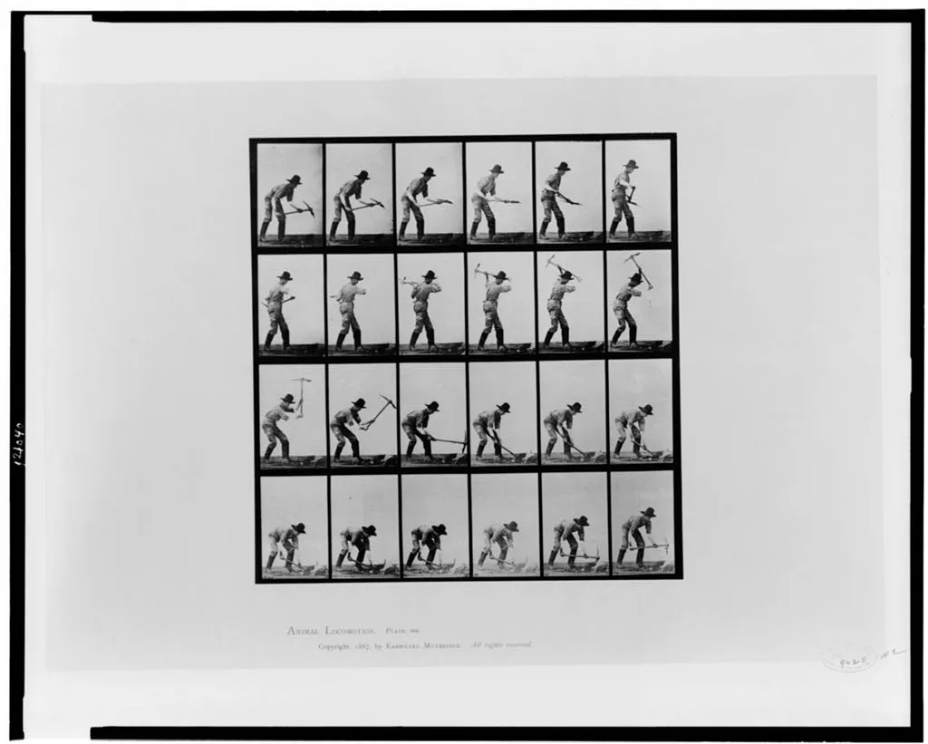 Animal locomotion, 1887