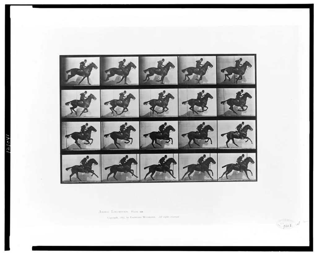 Animal locomotion, 1887