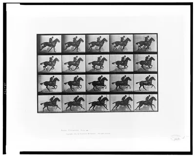 Animal locomotion, 1887