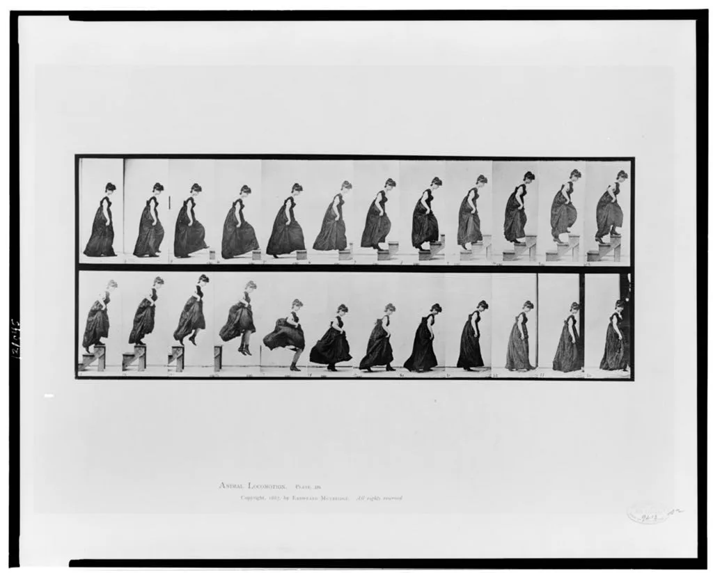Animal locomotion, 1887