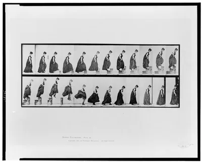 Animal locomotion, 1887